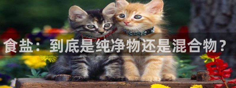 威九国际网站进入客服中心怎么进
