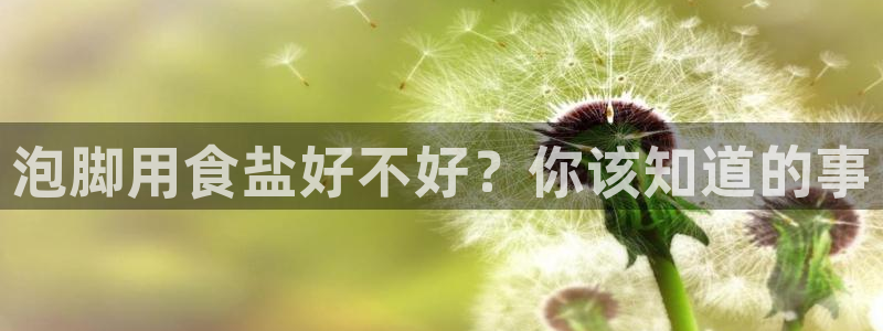 威九国际电子有限公司