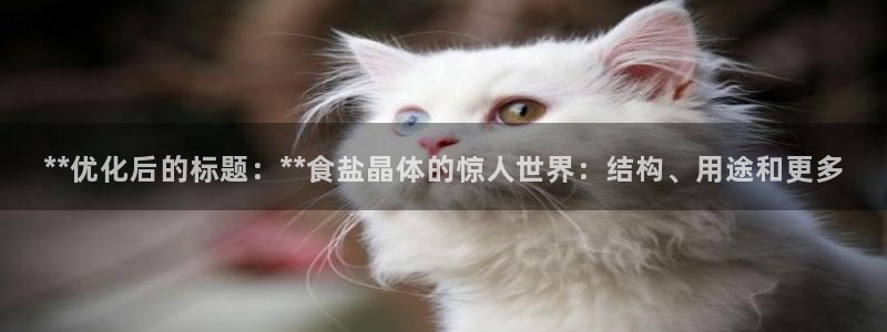 威九国际app网站官网