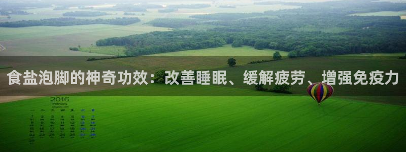 保定威九网络科技有限公司是干嘛的