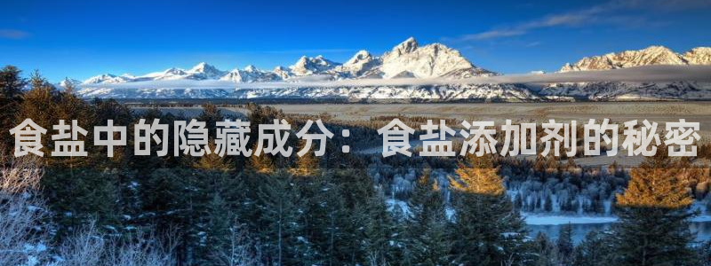 威九国际官网版