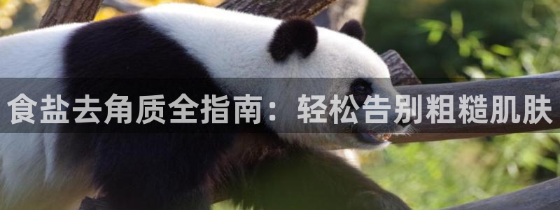 威九国际v96bet下载