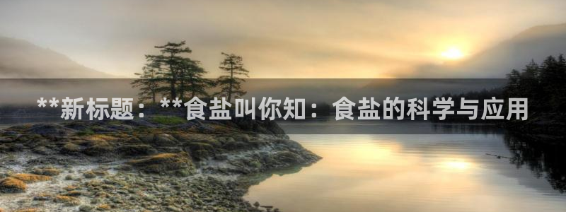 保定威九网络科技有限公司怎么样