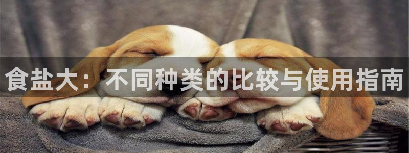 威九国际app客服电话多少