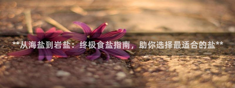 78mapp威九国际成长视频