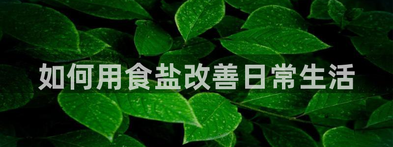威九国际清砖码头在哪