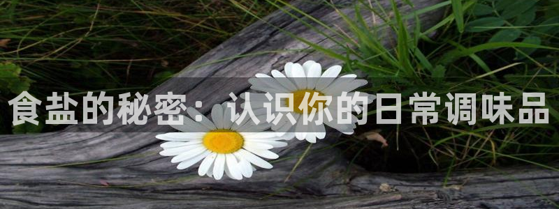 威九国际A