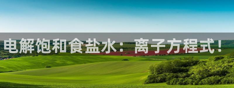 威九国际观看