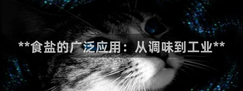 威九国际网站是多少