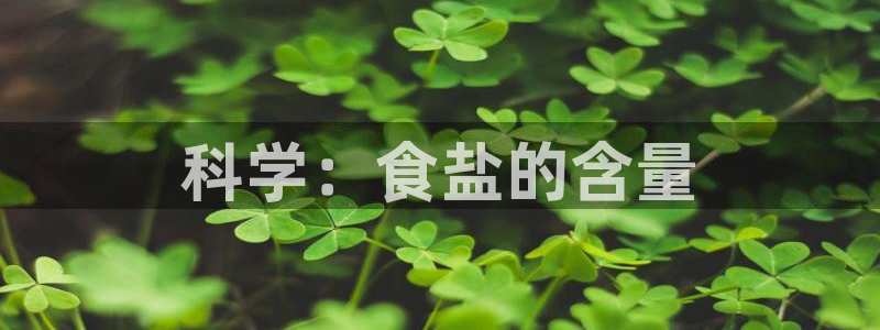威九国际78mB官网版