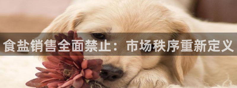 威九国际APP