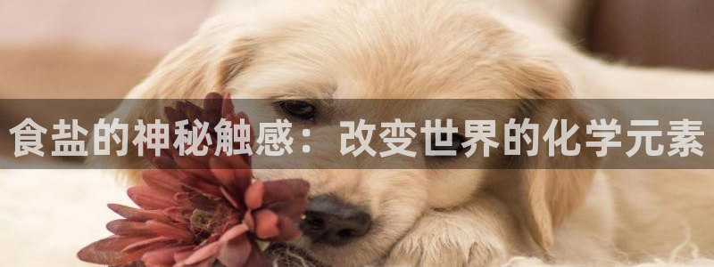威九国际66在线