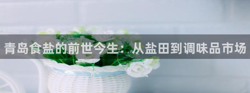 威九code6070