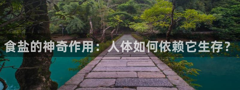 威九国际fX8x
