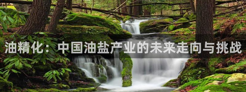 78mapp威九国际