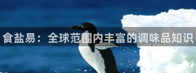 威九国际女艺人
