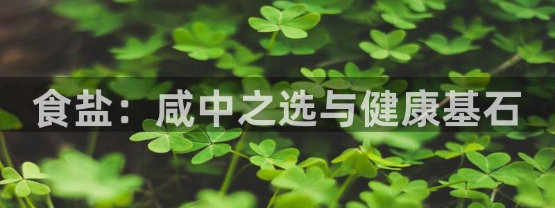 威九国际v9