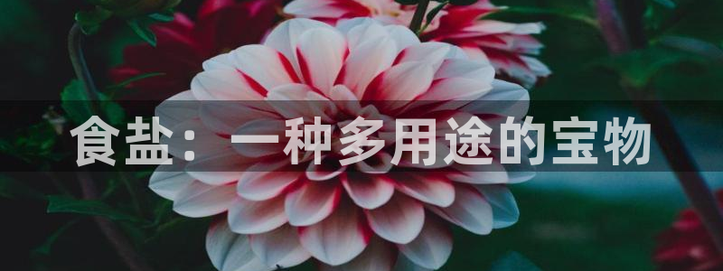 威九国际v96 bet会黑吗