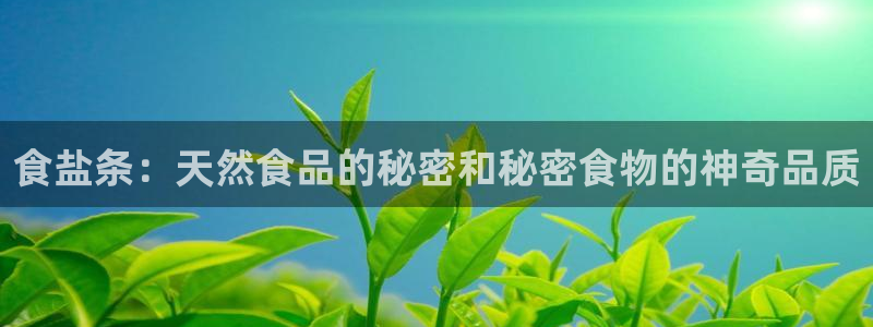 威九国际v96bet下载