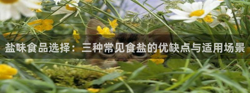 威九国际官方网站