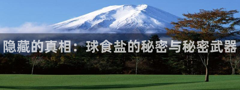 威九国际网站入口rdquo