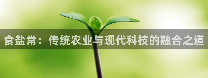 威九国际网站经常打不开怎么办