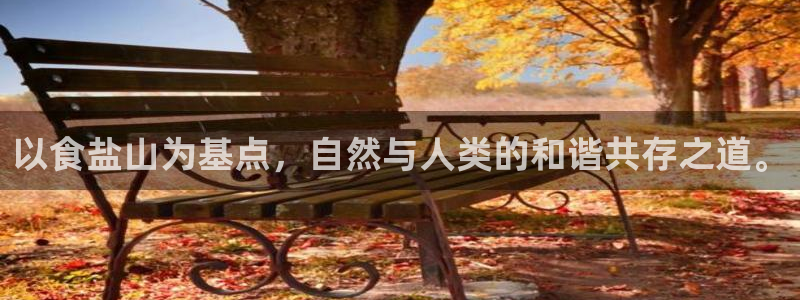 威九国际天美