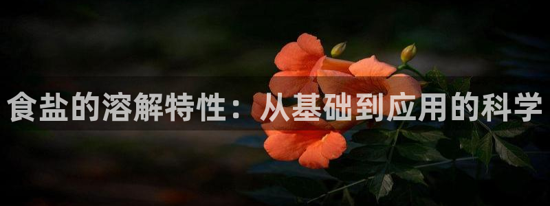 威九国际78m域名