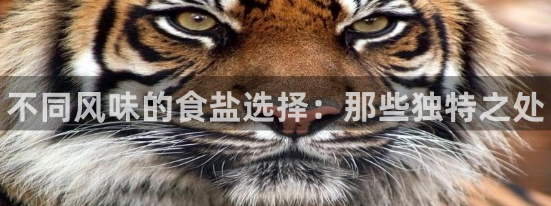 威九国际视频传媒招聘