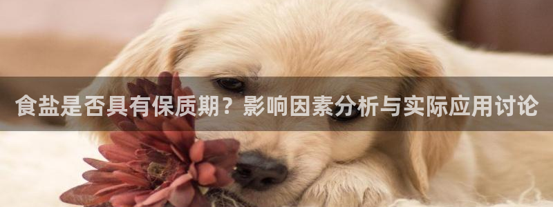 威九国际免费网络站：食盐是否具有保质期？影响因素分析与实际应