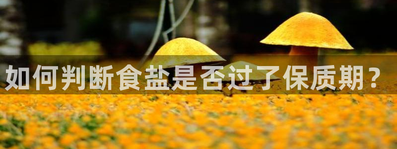 威九国际体育：如何判断食盐是否过了保质期？