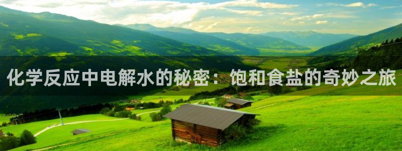 威九国际网站客服电话多少号码