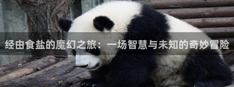 威九国际空降服务女演员叫什么名字