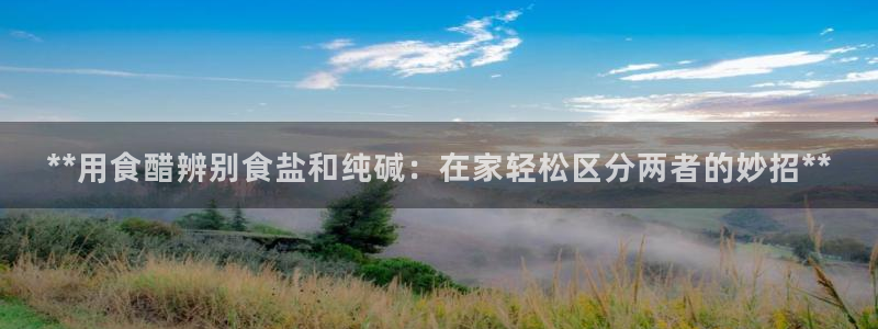 威九国际官网版