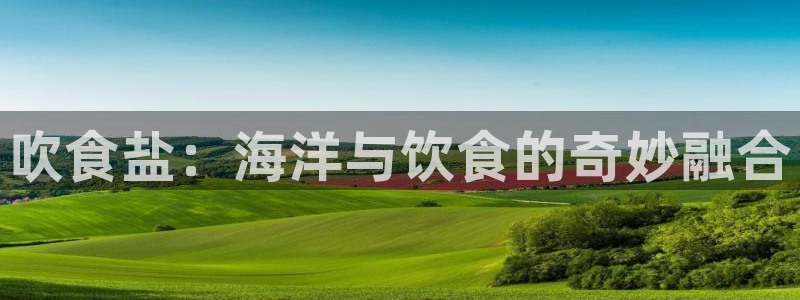 保定威九网络科技有限公司是干嘛的