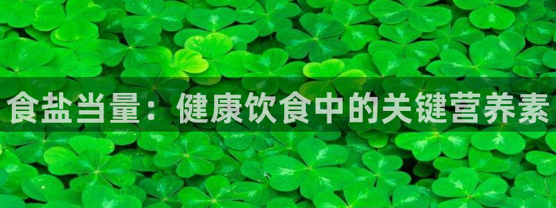 威九国际网站入口官网首页登录