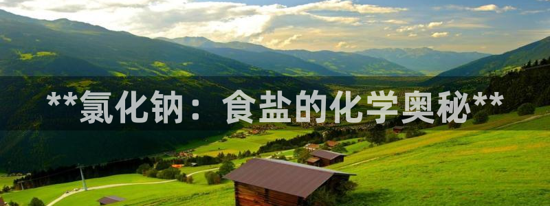 威九国际官网登录入口网站