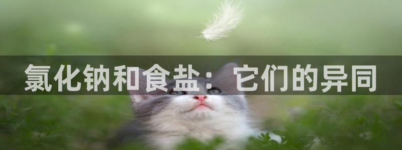 威九国际网站登录