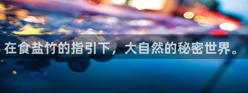 威九国际可以退钱吗怎么退款