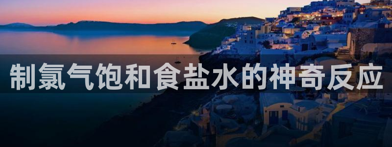 威九国际网站入口官网首页登录
