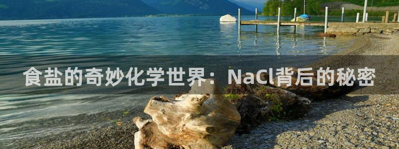 威九国际清砖码头怎么样