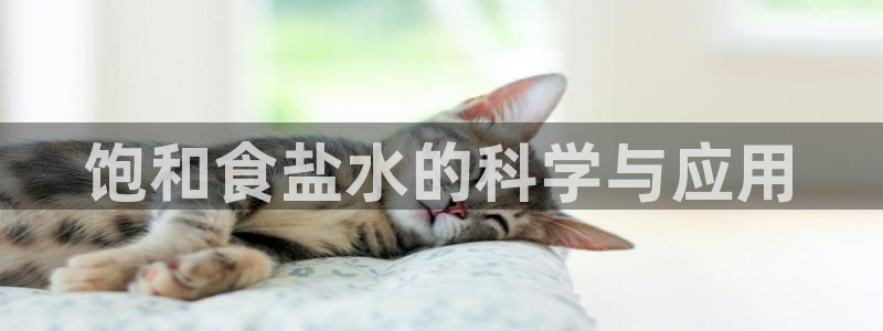 威九国际78mb特点