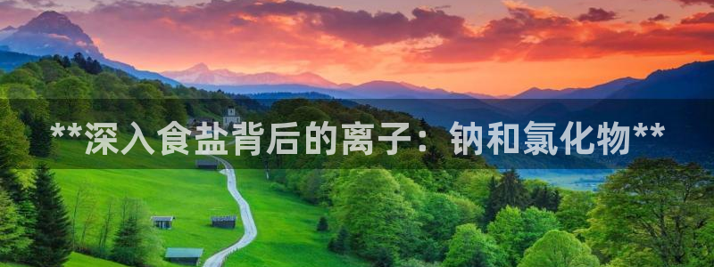 威九国际女明星