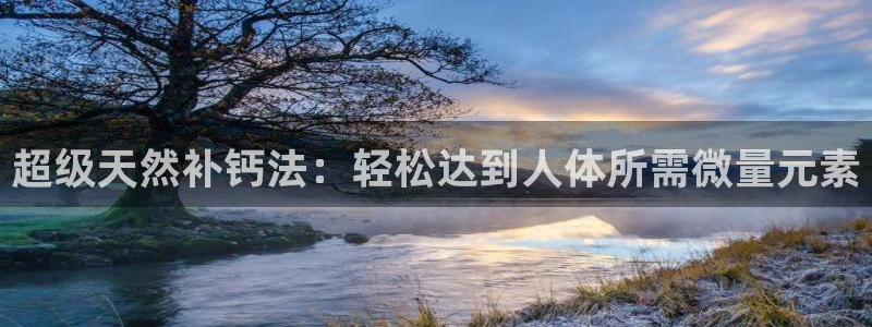 保定威九网络科技有限公司